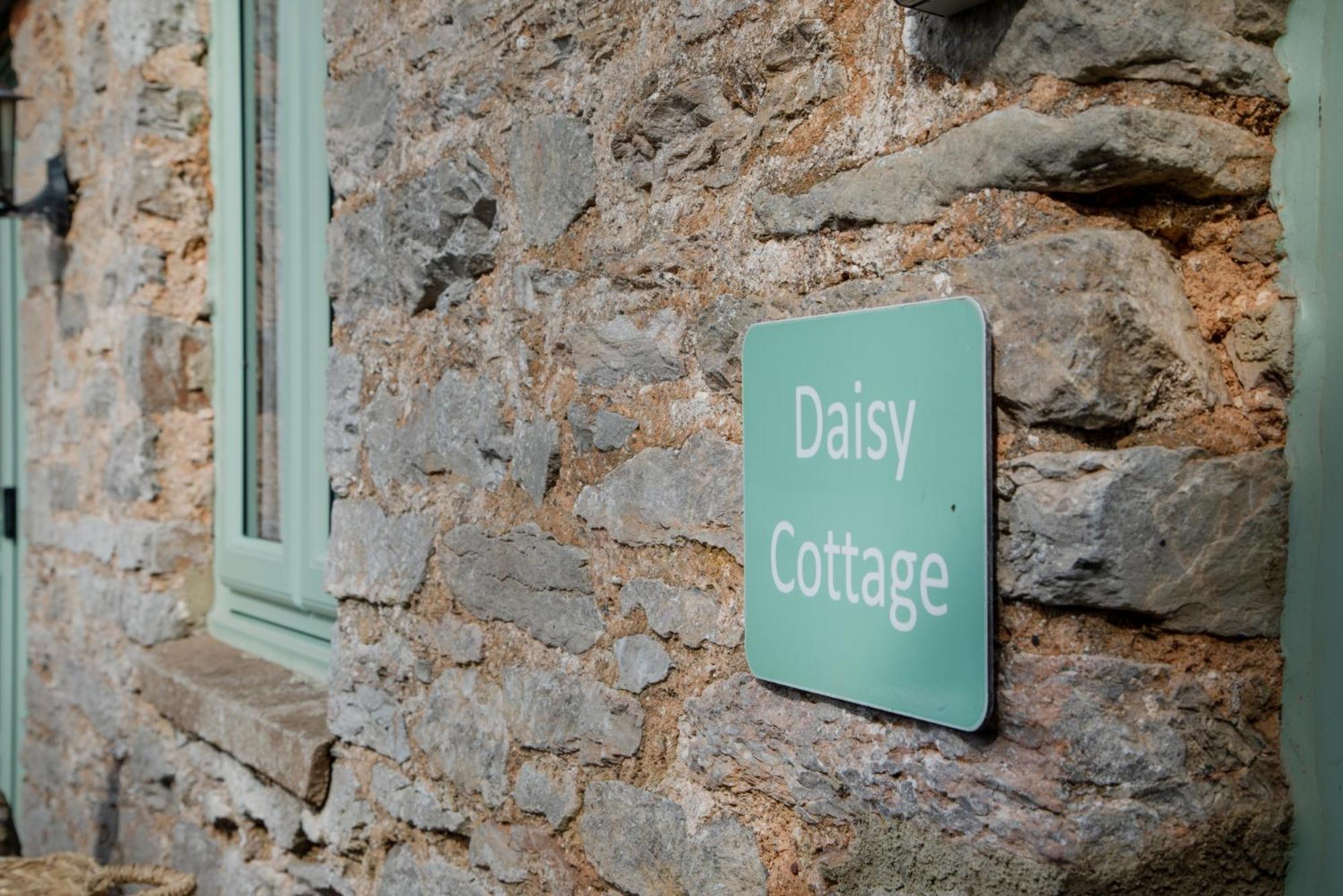 Daisy Cottage Paignton Esterno foto
